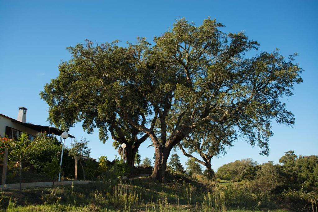 Monte Pedras Negras Konuk evi São Luis Oda fotoğraf